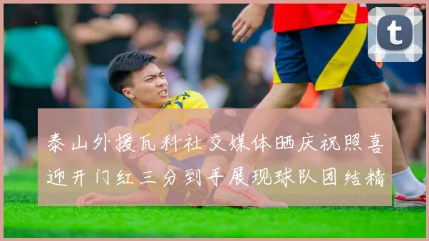 泰山外援瓦科社交媒体晒庆祝照喜迎开门红三分到手展现球队团结精神