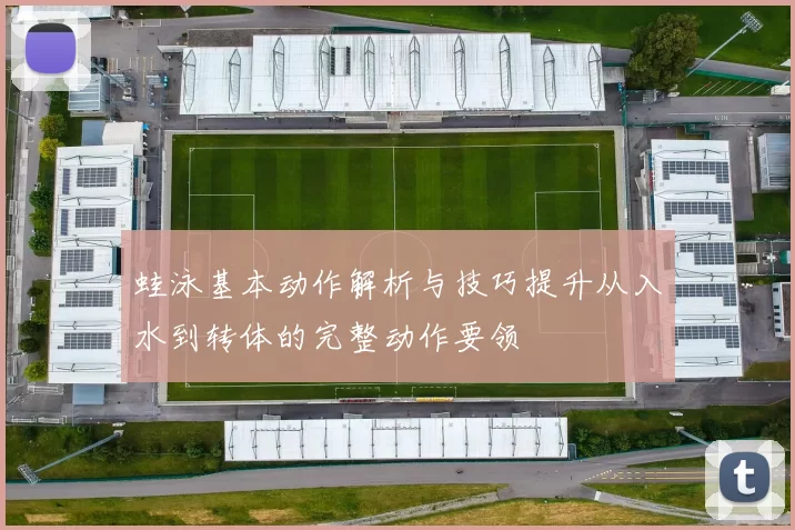 蛙泳基本动作解析与技巧提升从入水到转体的完整动作要领
