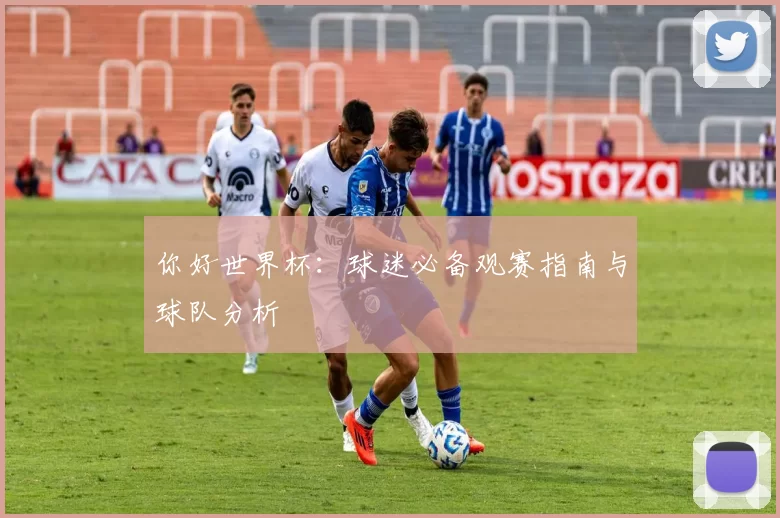 你好世界杯:球迷必备观赛指南与球队分析