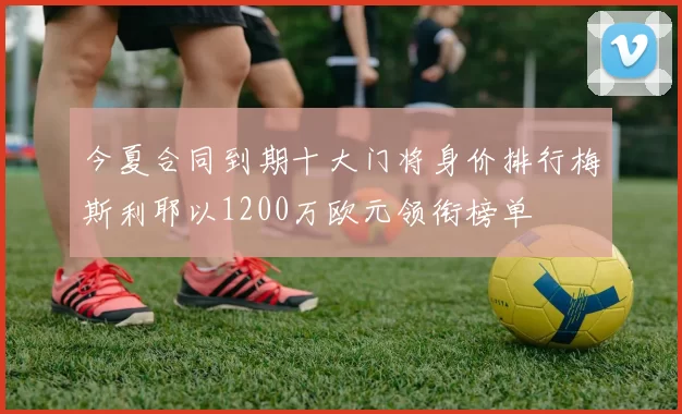 今夏合同到期十大门将身价排行梅斯利耶以1200万欧元领衔榜单