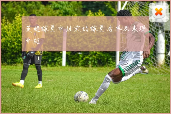 英超球员中姓宋的球员名单及表现介绍