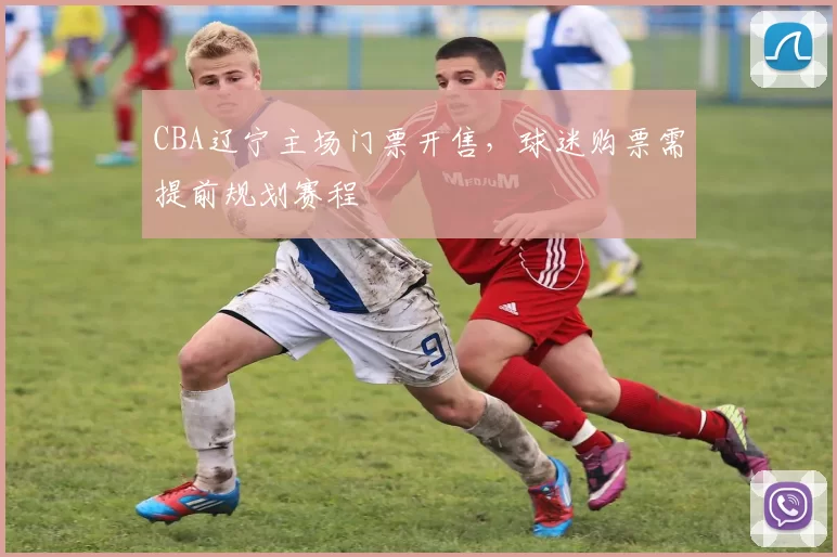 CBA辽宁主场门票开售，球迷购票需提前规划赛程