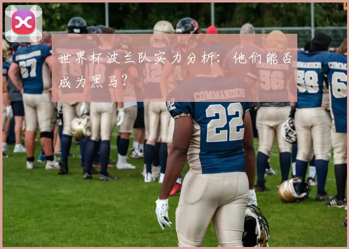 世界杯波兰队实力分析:他们能否成为黑马?