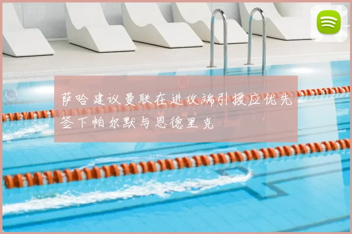 萨哈建议曼联在进攻端引援应优先签下帕尔默与恩德里克