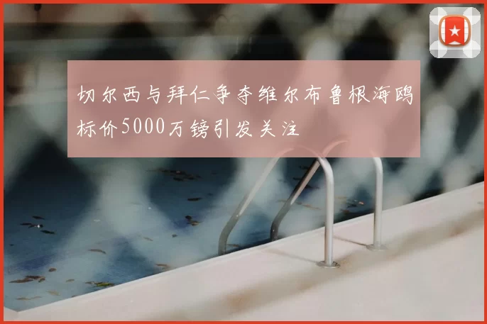 切尔西与拜仁争夺维尔布鲁根海鸥标价5000万镑引发关注
